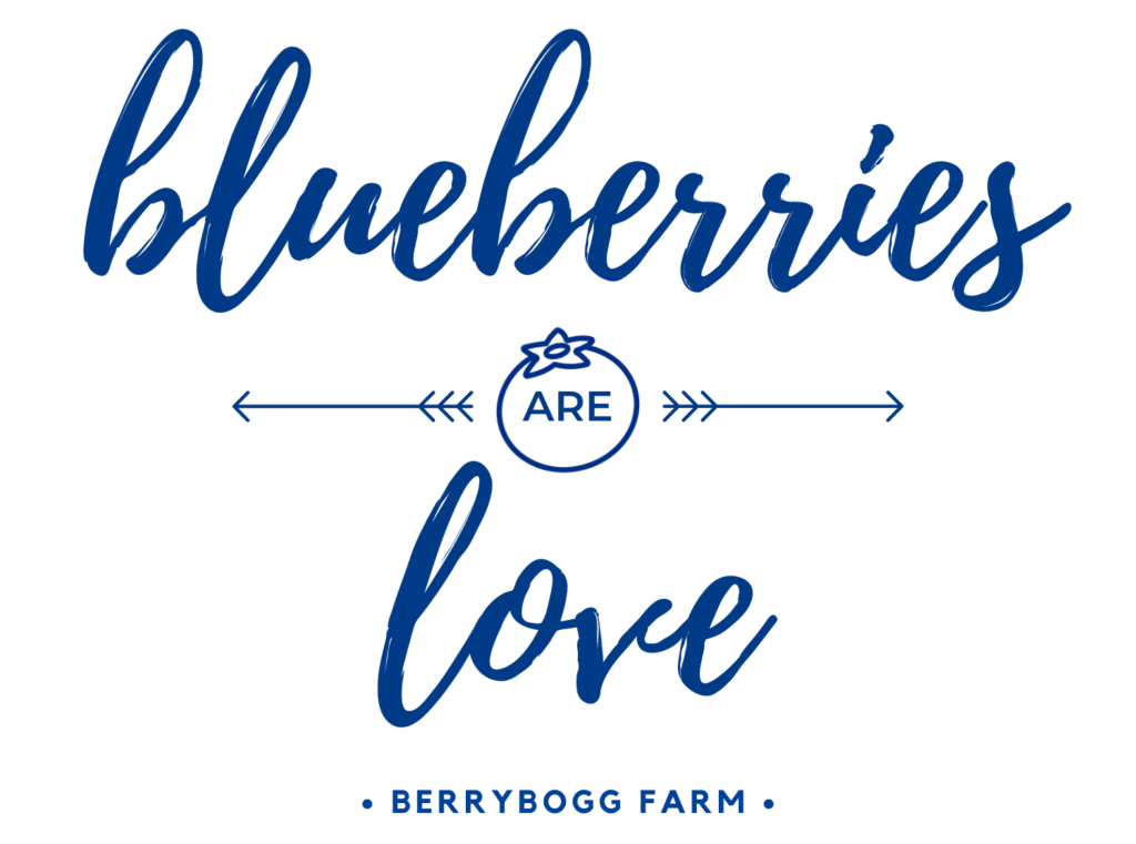 blueberries are love typography